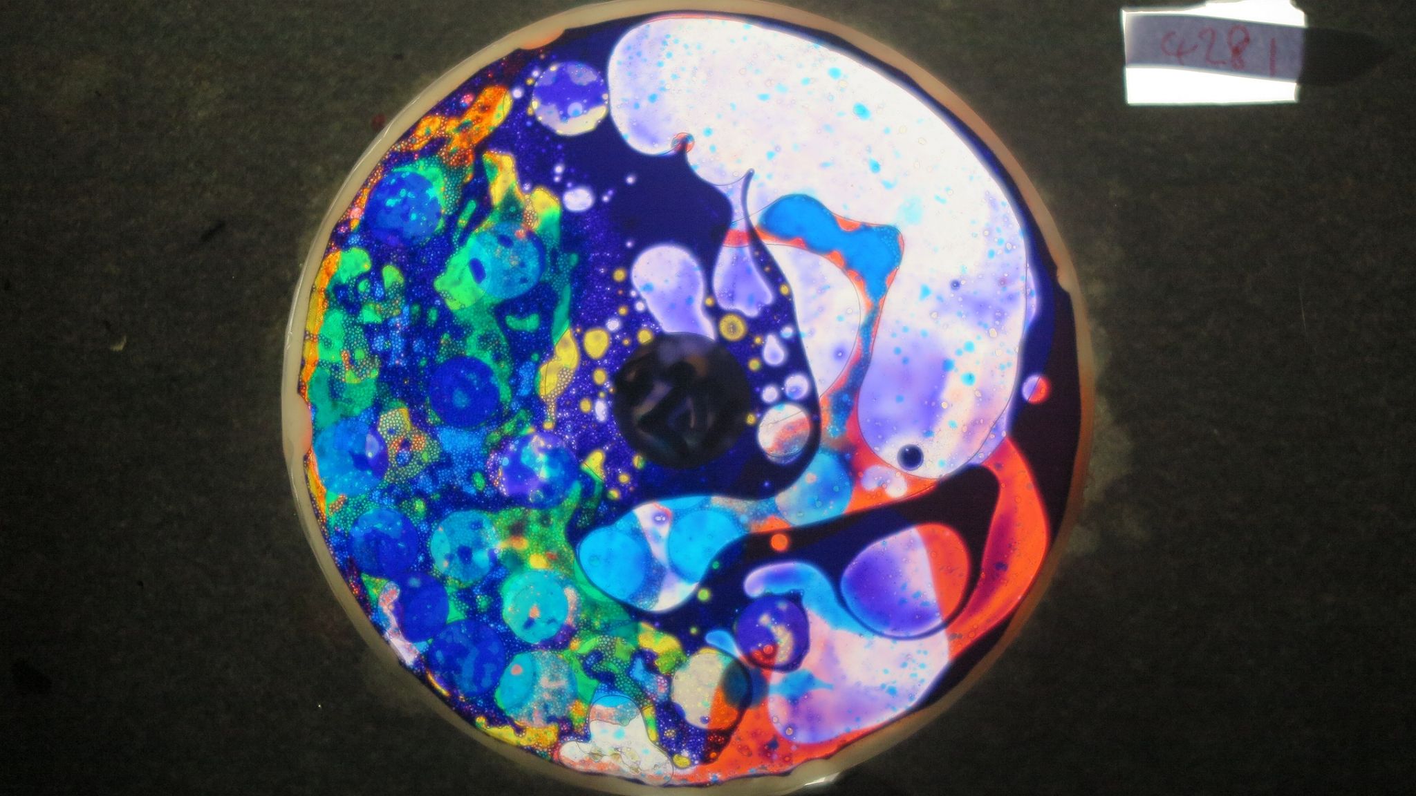 BV4281 bubble vision oil wheel